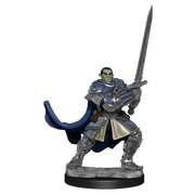 D&D Nolzur's Marvelous Miniatures: W15 Half-Orc Paladin Male Unpainted Miniatures WizKids