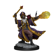 D&D Frameworks: W1 Human Wizard Male RPG Miniatures WizKids