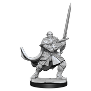 D&D Nolzur's Marvelous Miniatures: W15 Half-Orc Paladin Male Unpainted Miniatures WizKids