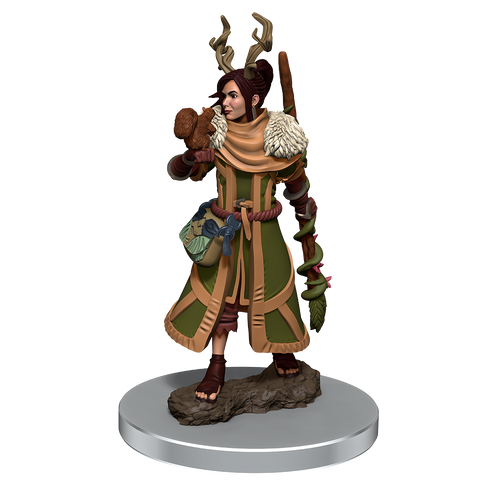 D&D Frameworks: W1 Male Human Monk, Table Top Miniatures