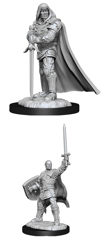 D&D Nolzur's Marvelous Miniatures: W13 Human Paladin Male Unpainted Miniatures WizKids