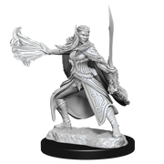 D&D Nolzur’s Marvelous Miniatures: W15 Winter and Spring Eladrin RPG Miniatures WizKids   