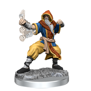 D&D Frameworks: Human Monk Male RPG Miniatures WizKids   