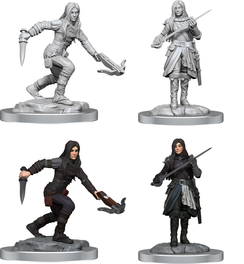 D&D Nolzur’s Marvelous Miniatures: W17 Half-Elf Rogue Female RPG Miniatures WizKids   