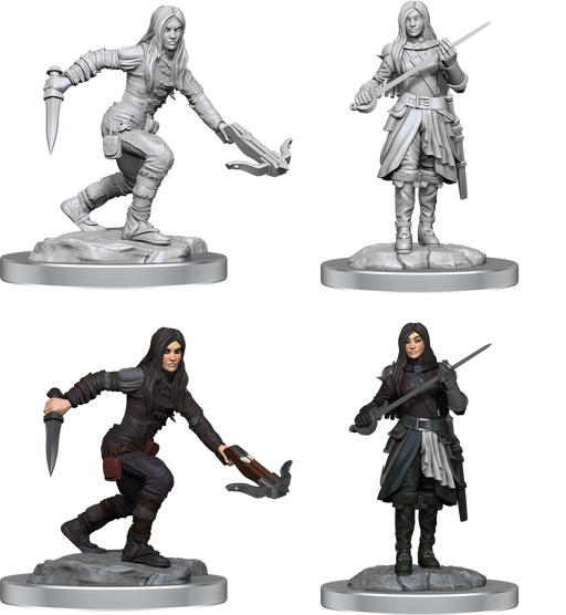 D&D Nolzur’s Marvelous Miniatures: W17 Half-Elf Rogue Female RPG Miniatures WizKids   