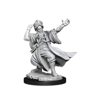 D&D Frameworks: W1 Human Wizard Male RPG Miniatures WizKids