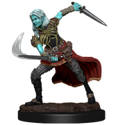 D&D Nolzur's Marvelous Miniatures: W15 Air Genasi Female Unpainted Miniatures WizKids