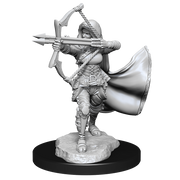 D&D Nolzur's Marvelous Miniatures: W15 Air Genasi Female Unpainted Miniatures WizKids