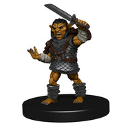 D&D Icons of the Realms: Goblin Warband RPG Miniatures WizKids   