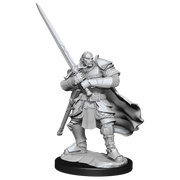D&D Nolzur's Marvelous Miniatures: W15 Half-Orc Paladin Male Unpainted Miniatures WizKids