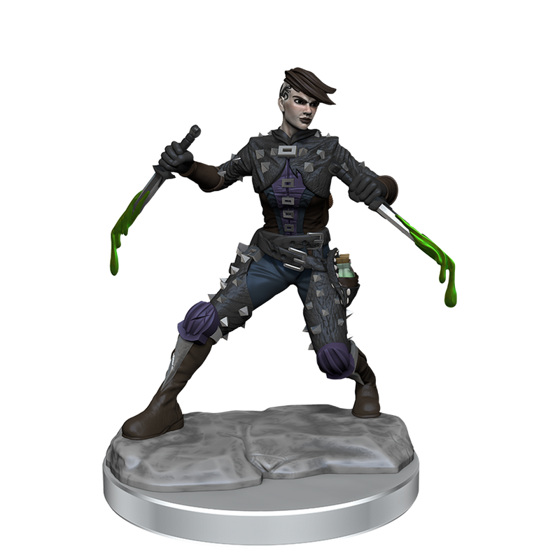 D&D Frameworks: Human Rogue Female RPG Miniatures WizKids   