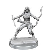 D&D Frameworks: Human Rogue Female RPG Miniatures WizKids   