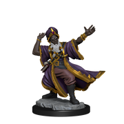 D&D Frameworks: W1 Human Wizard Male RPG Miniatures WizKids