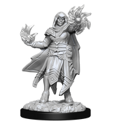 D&D Nolzur's Marvelous Miniatures: W15 Hobgoblin Male and Female Unpainted Miniatures WizKids