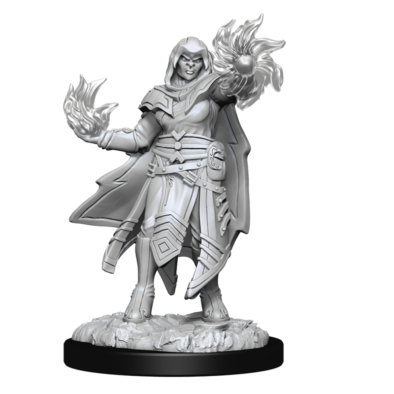 D&D Nolzur's Marvelous Miniatures: W15 Hobgoblin Male and Female Unpainted Miniatures WizKids