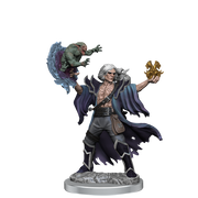 D&D Frameworks: W1 Human Warlock Male RPG Miniatures WizKids