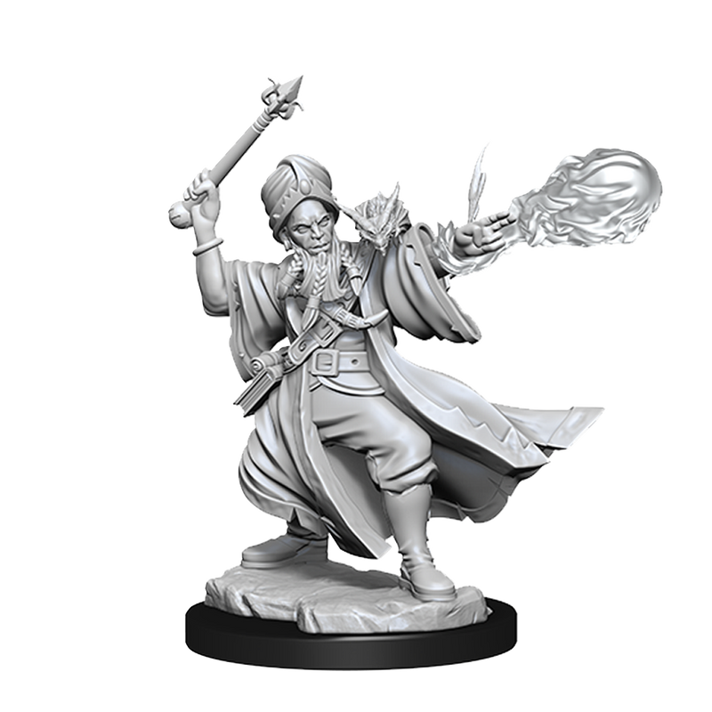 D&D Frameworks: W1 Human Wizard Male RPG Miniatures WizKids