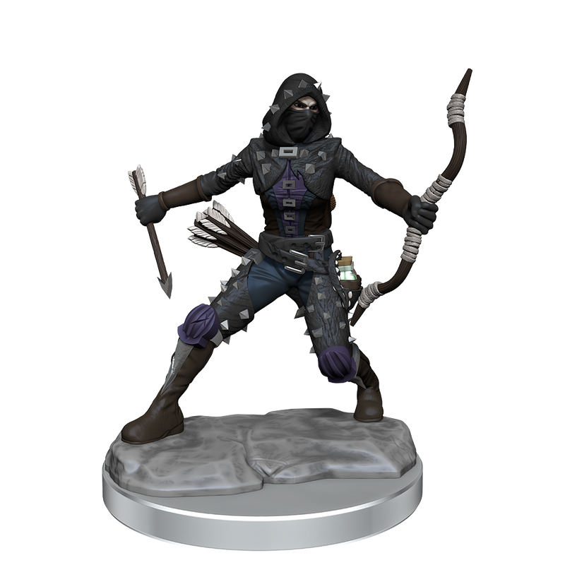 D&D Frameworks: Human Rogue Female RPG Miniatures WizKids   