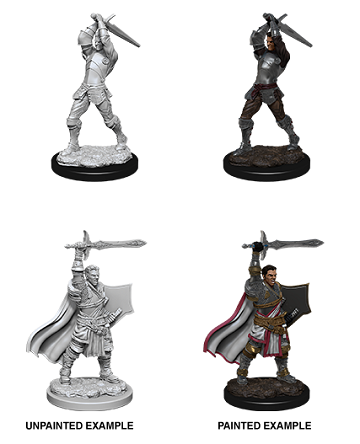 D&D Nolzur's Marvelous Miniature's: W12 Male Human Paladin Unpainted Miniatures WizKids