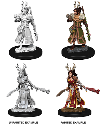 D&D Nolzur's Marvelous Miniatures: W9 Human Druid Female Unpainted Miniatures WizKids
