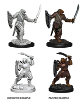 D&D Nolzur’s Marvelous Miniatures: W5 Dragonborn Paladin Female RPG Miniatures WizKids   