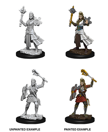 D&D Nolzur's Marvelous Miniatures: W8 Human Cleric Female Unpainted Miniatures WizKids