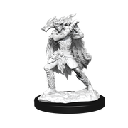 D&D Nolzur’s Marvelous Miniatures: W15 Winter and Spring Eladrin RPG Miniatures WizKids   