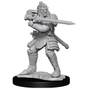 D&D Nolzur's Marvelous Miniatures: W15 Hobgoblin Male and Female Unpainted Miniatures WizKids