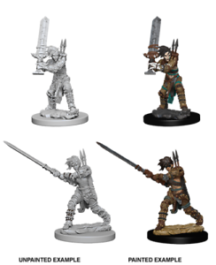Pathfinder Battles Miniatures: W6 Female Human Barbarian RPG Miniatures WizKids   