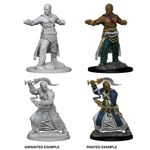 Pathfinder Battles Miniatures: W1 Human Male Monk RPG Miniatures WizKids   